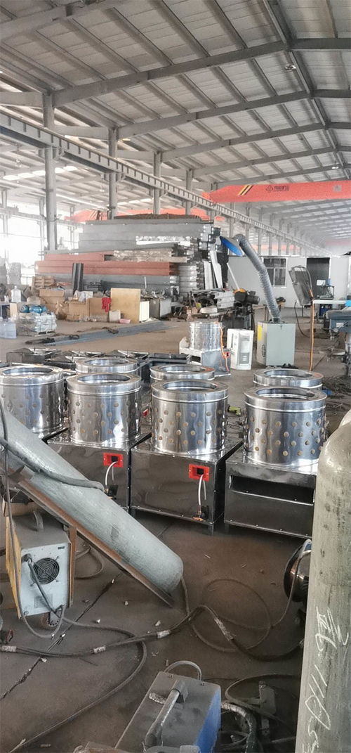 大型商用全自動脫毛機產(chǎn)品介紹與潤滑設(shè)備咨詢指南